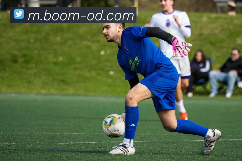 OD体育APP 封面图